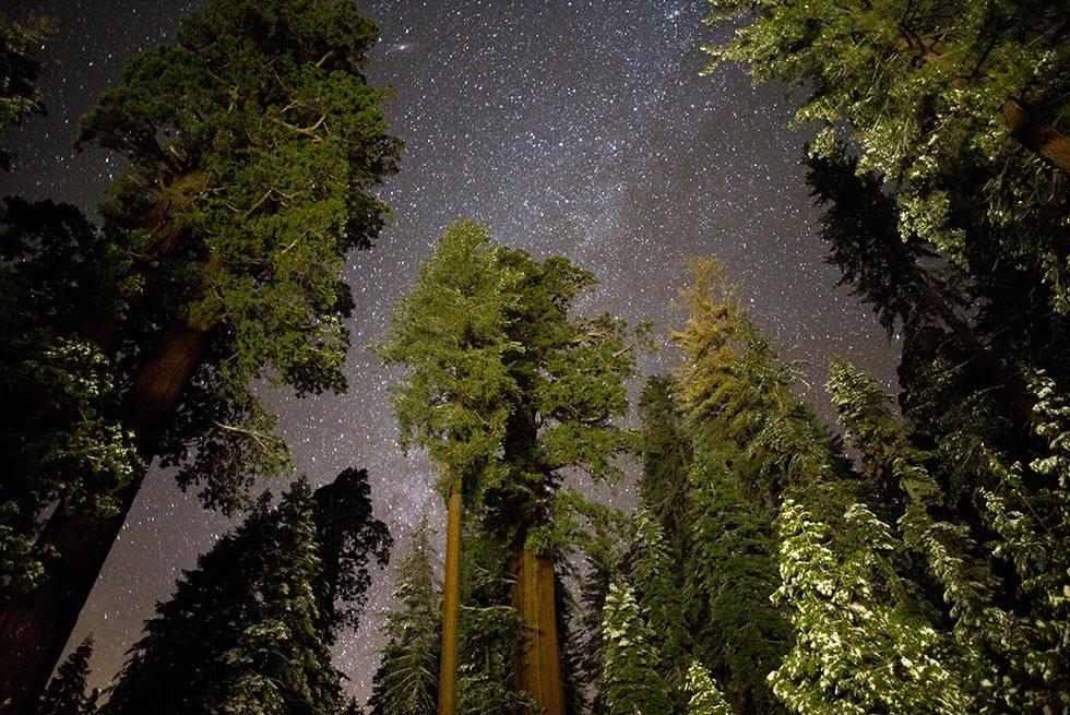 ジョン ミュア ロッジ  Hume エクステリア 写真